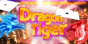 In55 Dragon Tiger